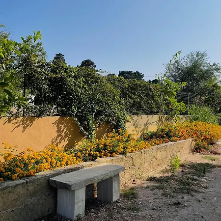 Tenuta Angelini *