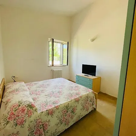 Tenuta Angelini *