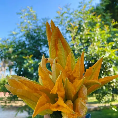 Tenuta Angelini Otranto